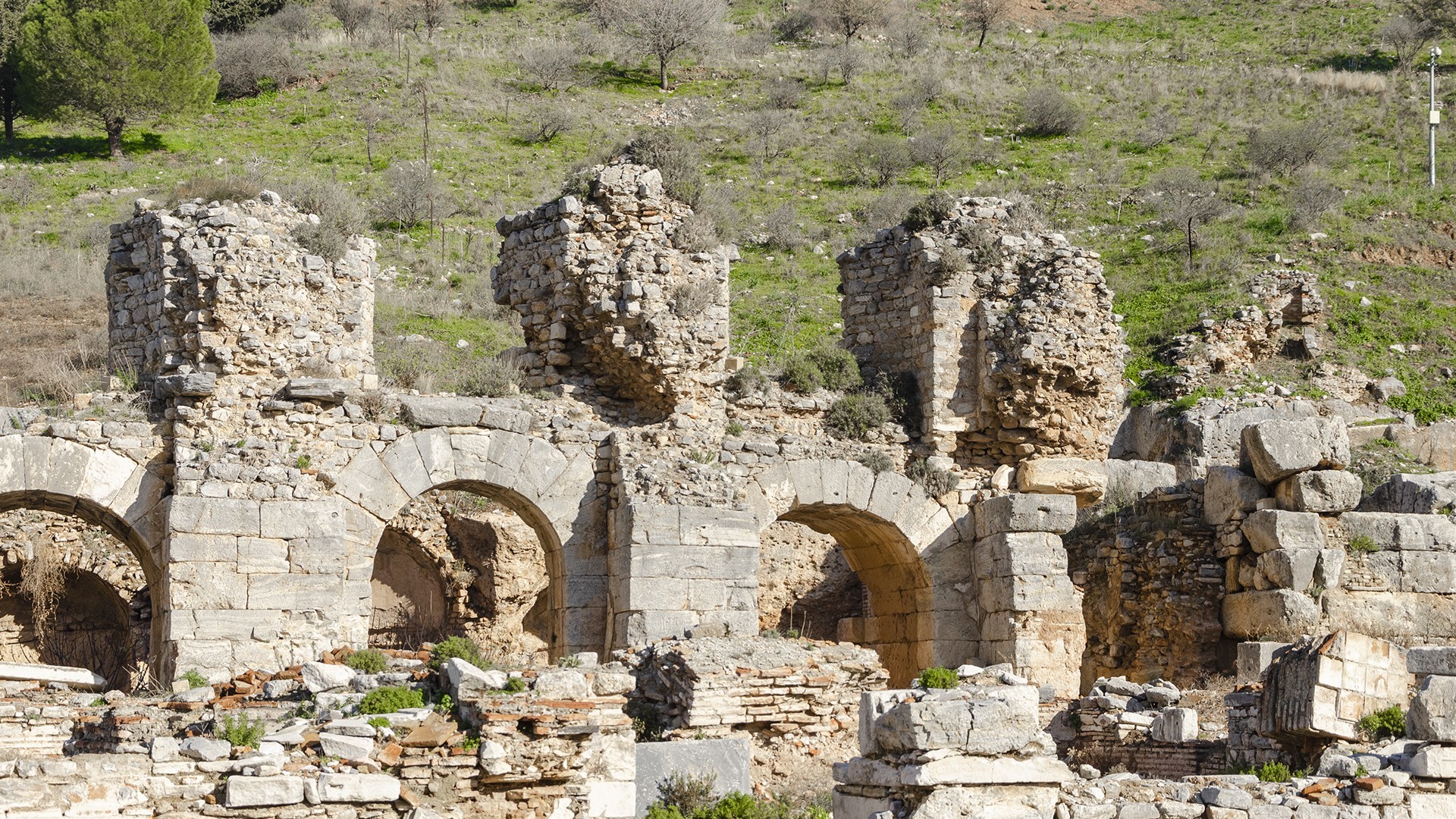 Excursión Arqueológica de Éfeso